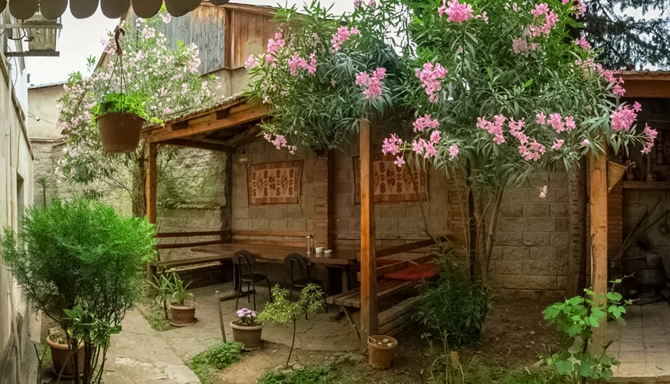 هتل ونسا تفلیس